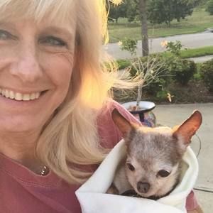 Meet your Posher, Skyhawk